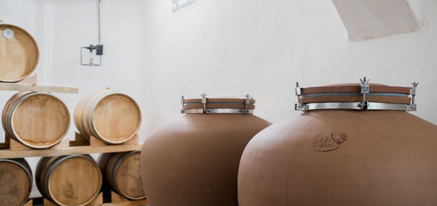 AnydrousWinerySantorini2021_ (14).jpg